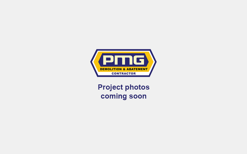 pmg temp portfolio pic